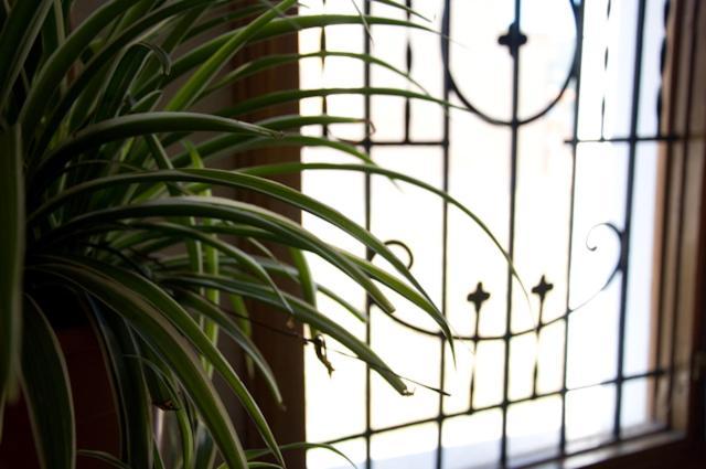 Hotel Alvarez Tuéjar エクステリア 写真